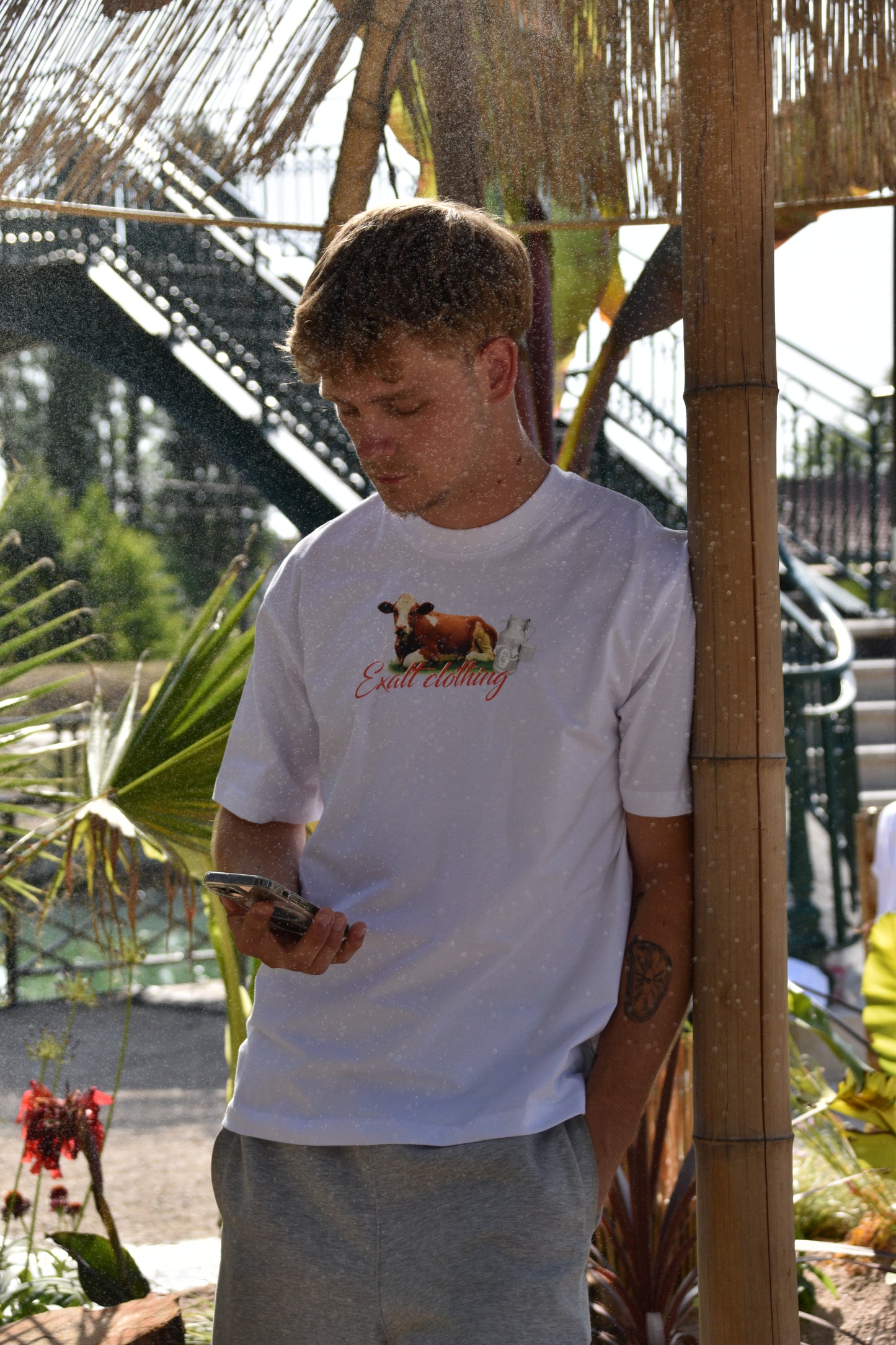 T-Shirt Cow